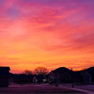 Meet your Posher, Olympia